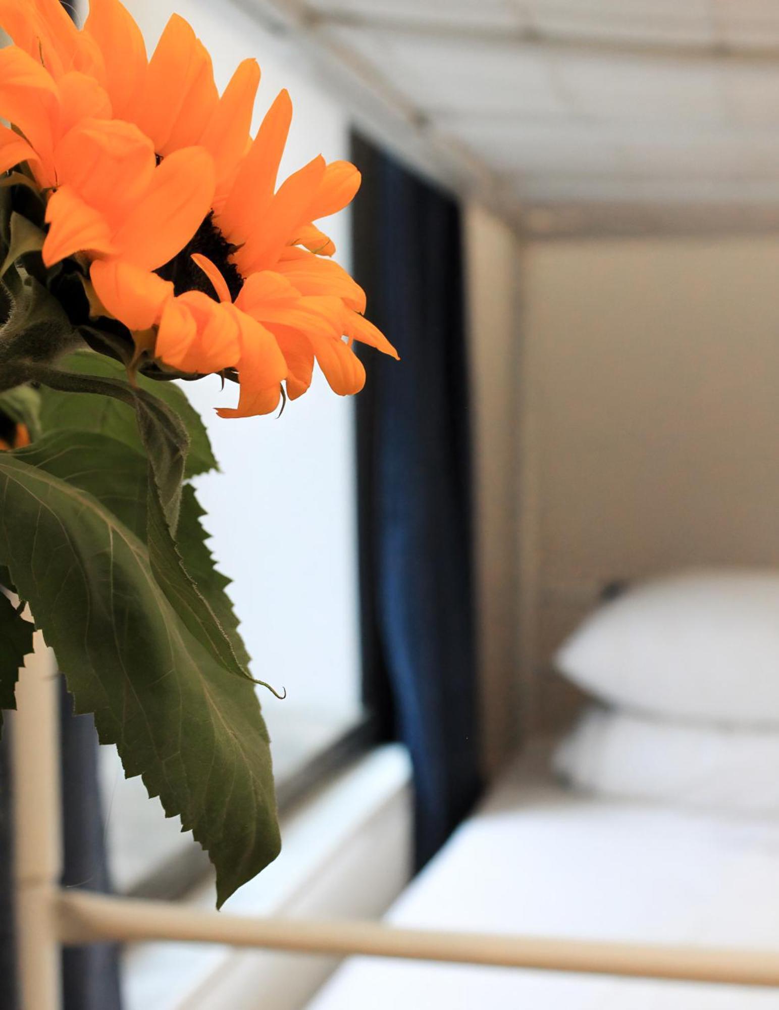Warsaw Hostel Centrum Private Rooms & Dorms Екстериор снимка